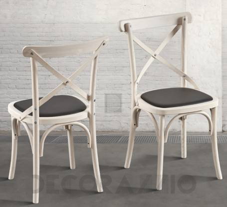  Dialma Brown Chairs - DB004107