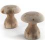 Табурет Riva 1920 Boletus - Boletus