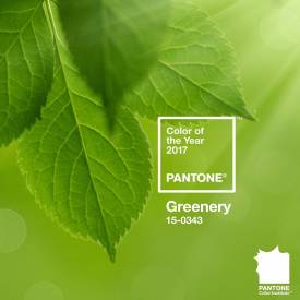 Эксперты Pantone назвали цвет 2017 года