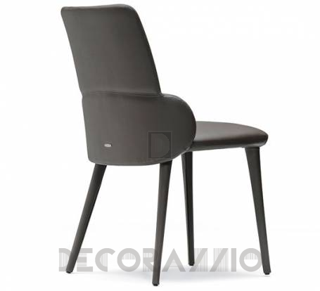 Стул Cattelan Italia Ginger - ginger-chair