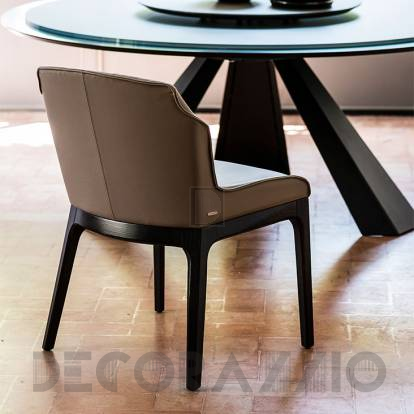 Стул Cattelan Italia Musa - musa-chair-a