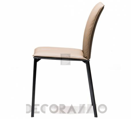 Стул Cattelan Italia Rita - rita-chair-1