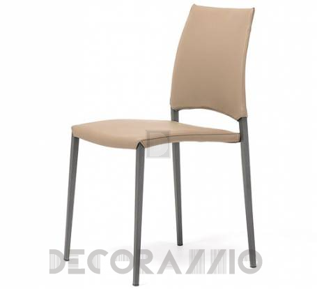 Стул Cattelan Italia Sally - sally-chair-1