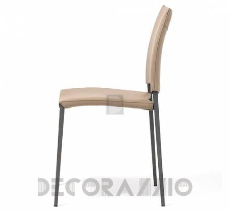 Стул Cattelan Italia Sally - sally-chair-1