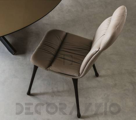 Стул Cattelan Italia Diana - cattelan-diana