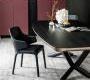 Обеденный стол Cattelan Italia Planer - cattelan-planer-wood-black