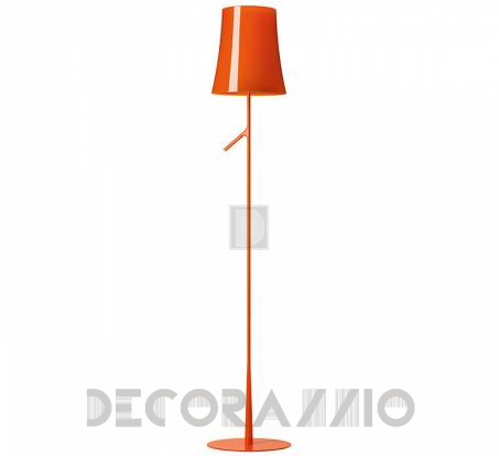 Светильник  напольный (Торшер) Foscarini Birdie - birdie-lettura-floor-orange